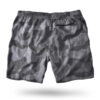 West_City_Thor_Steinar_Шорти_Camo